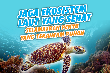 Hewan Langka! Bantu Selamatkan Penyu dari Kepunahan